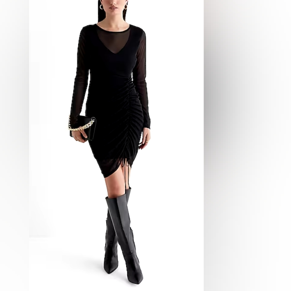 Express Mesh Long Sleeve Ruched Mini Sheath Dress
